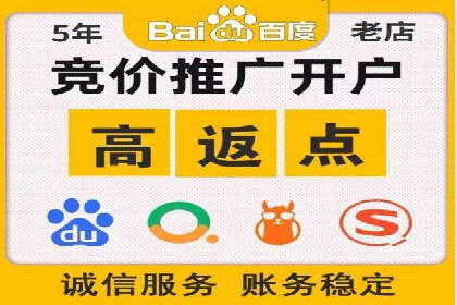 百度竞价入门必看：实操技巧与成功案例